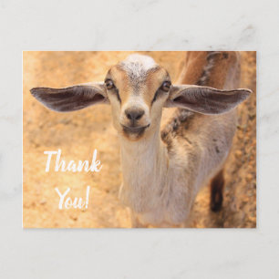 Sweet Little Goat Dank je Briefkaart