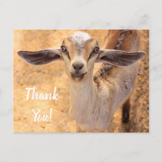 Sweet Little Goat Dank je Briefkaart (Voorkant)