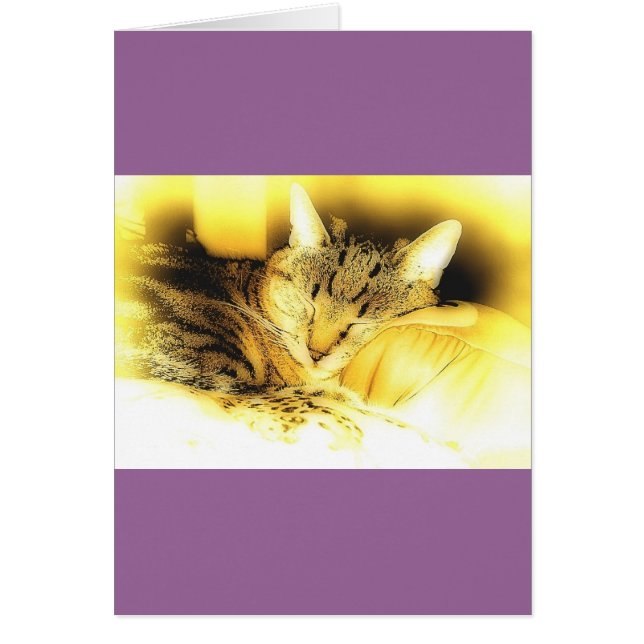 Sweet Little Indigo (Voorkant)