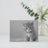 Sweet Little Kitten Briefkaart (Staand voorkant)