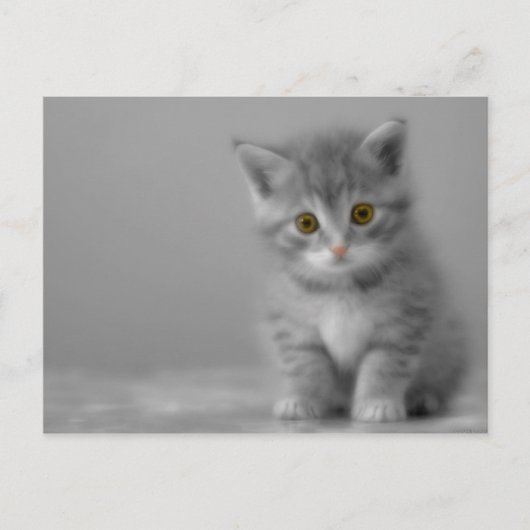 Sweet Little Kitten Briefkaart (Voorkant)