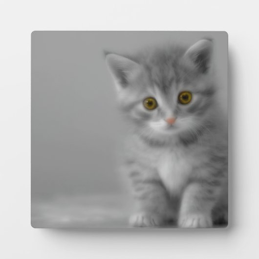 Sweet Little Kitten Fotoplaat (Voorkant)