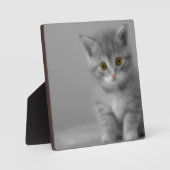 Sweet Little Kitten Fotoplaat (Voorkant)