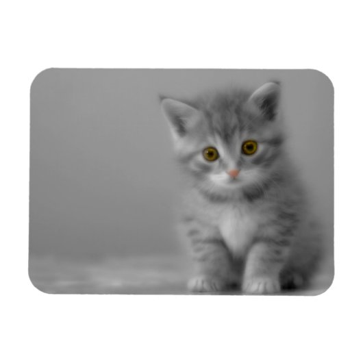 Sweet Little Kitten Magneet (Horizontaal)
