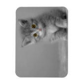 Sweet Little Kitten Magneet (Verticaal)