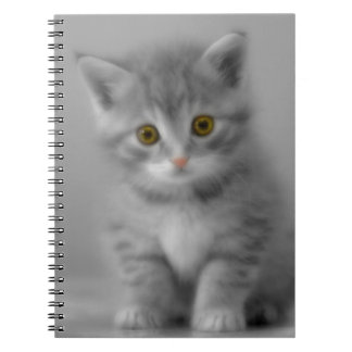 Sweet Little Kitten Notitieboek