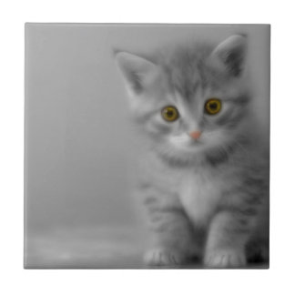 Sweet Little Kitten Tegeltje