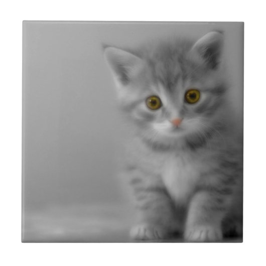 Sweet Little Kitten Tegeltje (Voorkant)