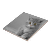 Sweet Little Kitten Tegeltje (Zijkant)