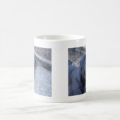 Sweet Little Miss Lou Mok (Center)