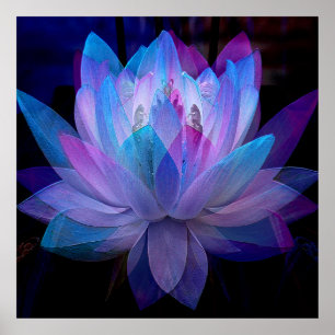 Sweet Lotus... Poster