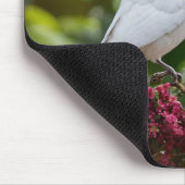 Sweet Lovebirds-Muismat Muismat (Hoek)