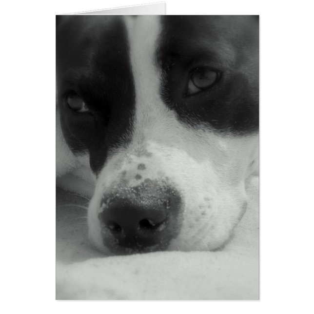 Sweet Maggie (Voorkant)