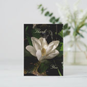 Sweet Magnolia Blossom Briefkaart (Staand voorkant)