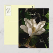 Sweet Magnolia Blossom Briefkaart (Voorkant / Achterkant)