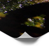 Sweet Magnolia Blossom Poster (Hoek)