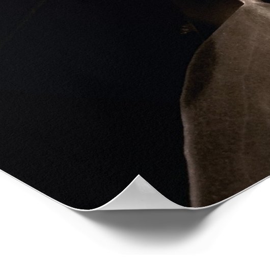 Sweet Magnolia Poster (Hoek)