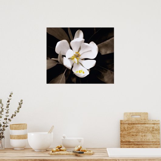 Sweet Magnolia Poster (Keuken)