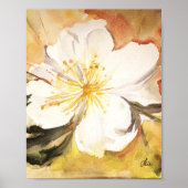Sweet Magnolia Premium Canvas Gloss-Poster (8x10) Poster (Voorkant)