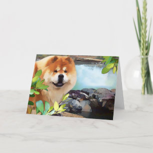 "SWEET MAIYA"-kaart Kaart