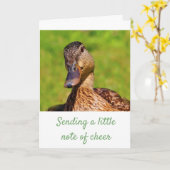 Sweet Mallard Duck krijgt goed Kaart (Gele Bloem)