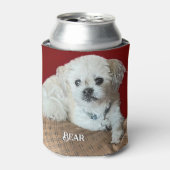 Sweet Malshi Blikjeskoeler (Blikje Voorkant)