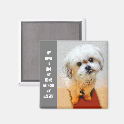 Sweet Malshi Magnet (Voorkant / Achterkant)