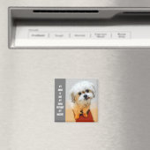 Sweet Malshi Magnet (Insitu (Vaatwasser))