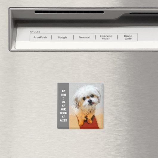 Sweet Malshi Magnet (Insitu (Vaatwasser))