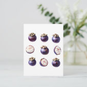 Sweet Mangosteen Tropical Fruit Briefkaart (Staand voorkant)