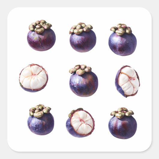 Sweet Mangosteen Tropical Fruit Vierkante Sticker (Voorkant)