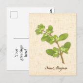 Sweet Marjoram-Briefkaart aanpassen Briefkaart (Voorkant / Achterkant)