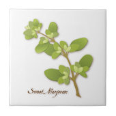 Sweet Marjoram Herb Ceramic Tegel Tegeltje (Voorkant)