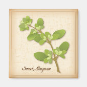 Sweet Marjoram Herb Magneet (Voorkant)