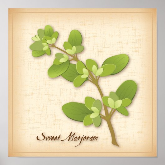 Sweet Marjoram Herb Poster (Voorkant)