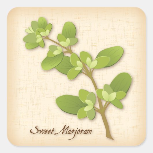 Sweet Marjoram Herb Square Sticker (Voorkant)