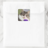 Sweet Mia Sticker (Tas)