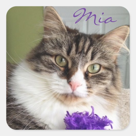 Sweet Mia Sticker (Voorkant)