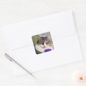 Sweet Mia Sticker (Envelop)