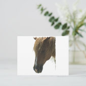 Sweet Mustang Horse Briefkaart (Staand voorkant)