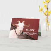 Sweet Nanny Goat Birthday Kaart (Gele Bloem)