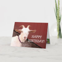 Sweet Nanny Goat Birthday