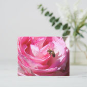 Sweet Nectar na een lichte regenjager, Bloedbijen Briefkaart (Staand voorkant)