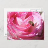 Sweet Nectar na een lichte regenjager, Bloedbijen Briefkaart (Voorkant / Achterkant)