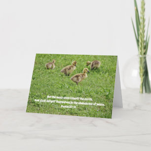 Sweet New Baby Geese Scripture Kaart Psalm 37:11