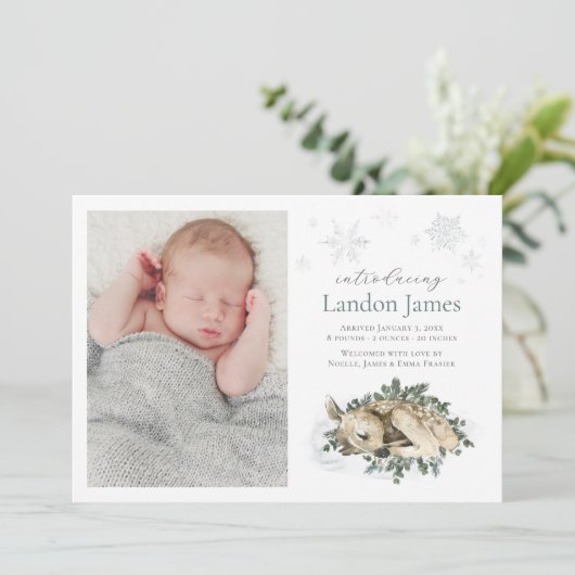 Sweet Newborn Deer Blue Green Baby Boy Photo Birth Aankondiging (Staand voorkant)