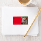 Sweet Nigerian Dwarf Goat Kind kerstcadeau Label (Insitu)