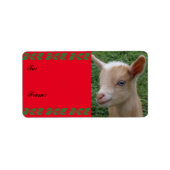 Sweet Nigerian Dwarf Goat Kind kerstcadeau Label (Voorkant)