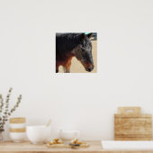 Sweet Old Pony Horse - Horses and Ponies Poster (Keuken)