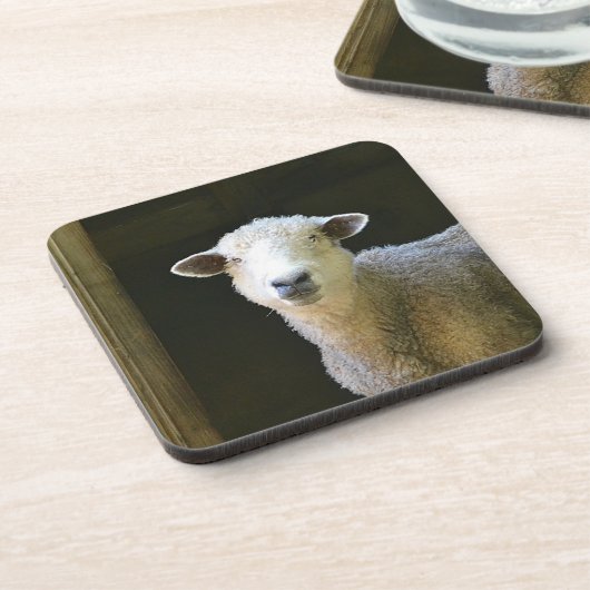 Sweet Ole Sheep Onderzetter (Linkerzijde)